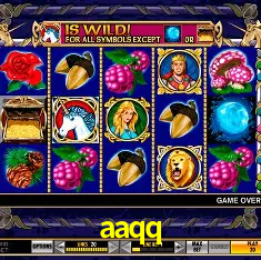 Descubra o Mundo do Cassino Online com aaqq
